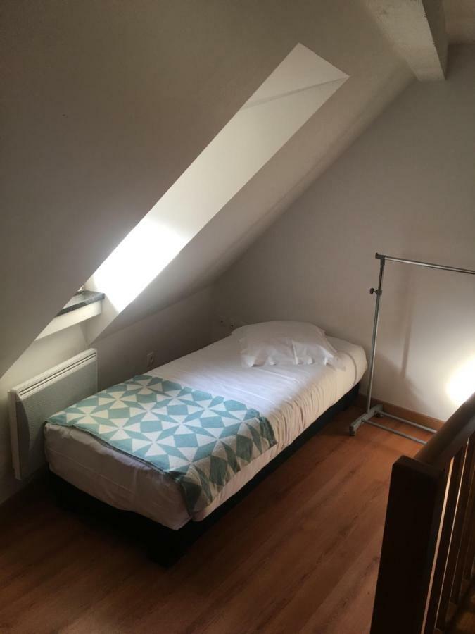 Les Appartements Berthe Molly コルマール エクステリア 写真